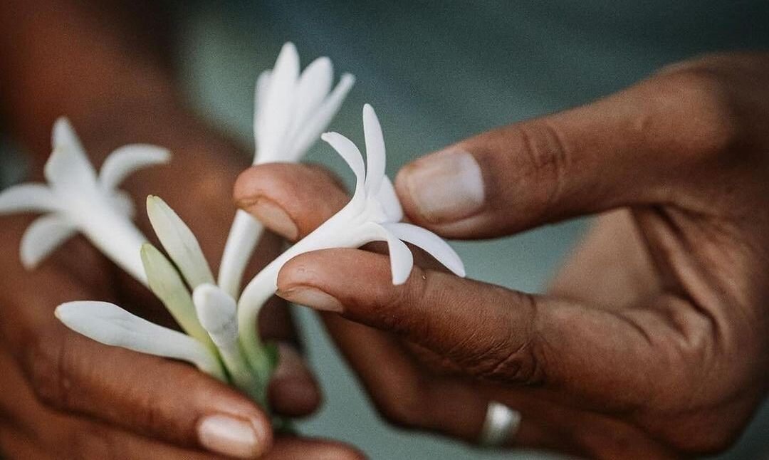 Elige la cosmética sostenible y únete al cambio | L'Oréal Paris